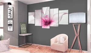 Canvas Tavla - Amarylis: Pink Charm - 100x50