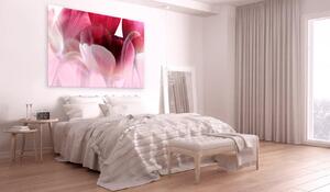 Canvas Tavla - Nature: Pink Tulips - 90x60