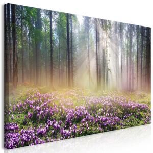 Canvas Tavla - Purple Meadow (1 del) Wide - 70x35