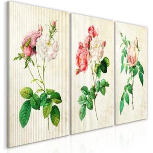 Canvas Tavla - Floral Trio (Collection) - 60x30