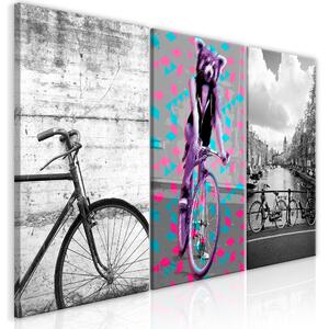 Canvas Tavla - Bikes (Collection) - 60x30