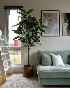 Konstväxt Ficus Elastica - 220cm