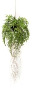 Emerald Konstväxt hängande ormbunke med rötter 35 cm