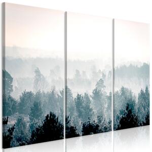 Canvas Tavla - Winter Forest (3 delar) - 90x60