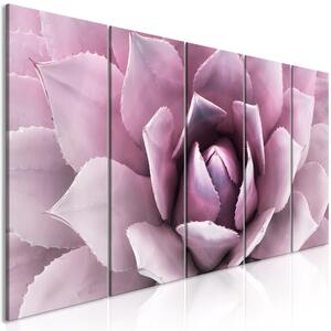 Canvas Tavla - Agave (5 delar) Narrow Pink - 200x80