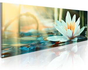 Canvas Tavla - The Lake of Lotus - 150x50