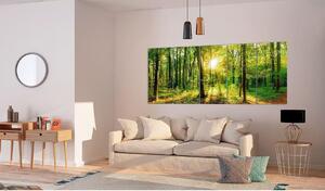 Canvas Tavla - Magic Forest - 225x90