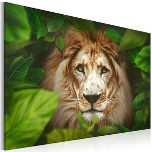 Canvas Tavla - Eyes of the jungle - 60x40