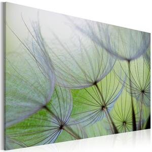 Canvas Tavla - Dandelion in the wind - 60x40