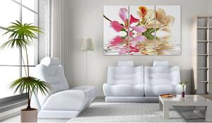 Canvas Tavla - Orchid with colorful spots - 60x40