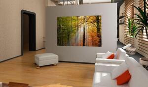 Canvas Tavla - A calm autumn forest - 60x40