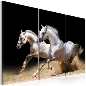 Canvas Tavla - Horses- power and velocity - 60x40