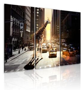 Canvas Tavla - Giraff i den stora staden - 60x40