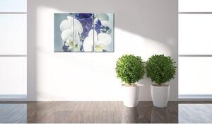 Canvas Tavla - Chimär orkidéer - 60x40