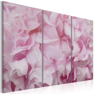Canvas Tavla - Azalea i rosa - 60x40
