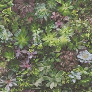Noordwand Evergreen Tapet Succulent grön och lila