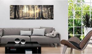 Canvas Tavla - Forest Sun - 120x40