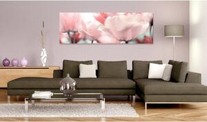 Canvas Tavla - Pink Tulips - 120x40
