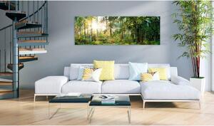 Canvas Tavla - Forest Shelter - 120x40