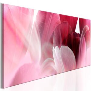 Canvas Tavla - Flowers: Pink Tulips - 120x40