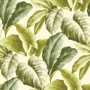 DUTCH WALLCOVERINGS Tapet tropiska blad grön och vit