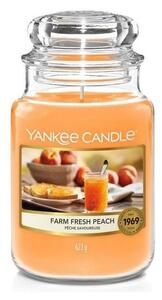 Yankee Candle - Doftande ljus FARM FRESH PEACH stor 623g 110-150 timmar