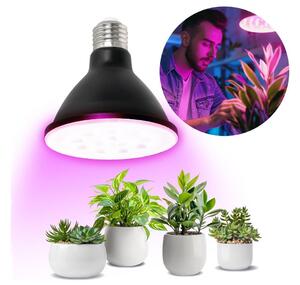 LED Glödlampa för växttillväxt PLANTY E27/9W/230V 1200K svart