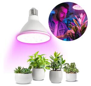 LED Glödlampa för växttillväxt PLANTY E27/9W/230V 1200K vit