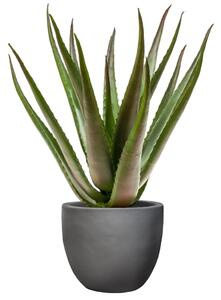 Emerald Konstväxt Aloe i kruka 50 cm