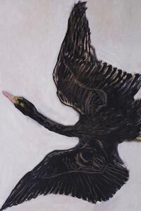 Konsttryck The Black Swan (2 of 2) - Hilma af Klint, (26.7 x 40 cm)