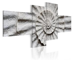 Tavla Stone Shell 100x45 - Artgeist sp. z o. o