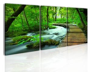 Tavla Forest Broadwalk Triptych 120x40 - Artgeist sp. z o. o