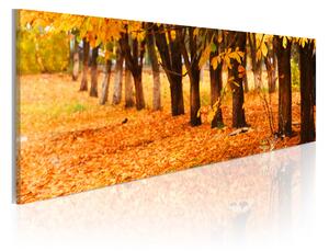 Tavla Park covered with golden leaves 135x45 - Artgeist sp. z o. o