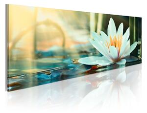 Tavla The Lake Of Lotus 150x50 - Artgeist sp. z o. o