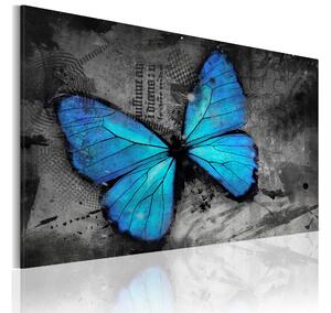 Tavla The Study Of Butterfly 90x60 - Artgeist sp. z o. o