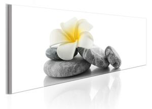 Tavla White Lotus 150x50 - Artgeist sp. z o. o