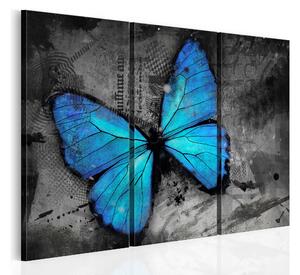 Tavla The Study Of Butterfly Triptych 120x80 - Artgeist sp. z o. o