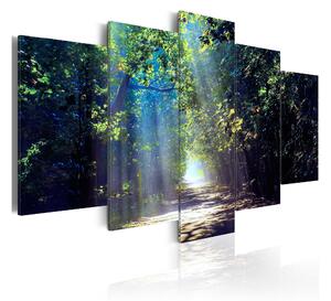 Tavla Sunny Forest Path 100x50 - Artgeist sp. z o. o