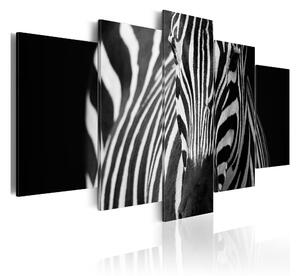 Tavla Zebra Look 100x50 - Artgeist sp. z o. o