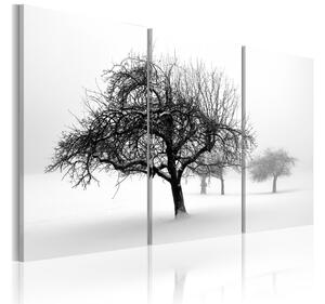 Tavla Trees submerged in white 90x60 - Artgeist sp. z o. o
