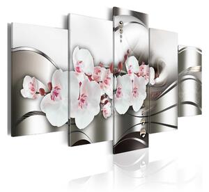 Tavla The Beauty Of Orchids 100x50 - Artgeist sp. z o. o