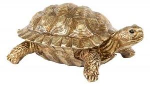 Sköldpadda guld