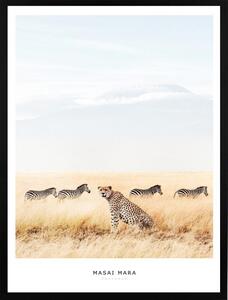 Poster 30x40 masai mara leopard
