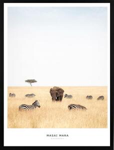 Poster 30x40 masai elephant
