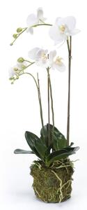 Emerald Konstväxt orkidé 70 cm vit