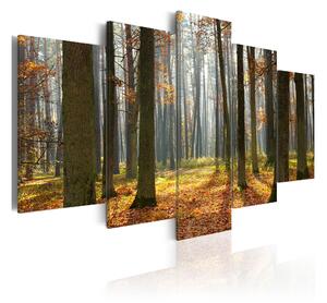Tavla A Nice Forest Landscape 100x50 - Artgeist sp. z o. o
