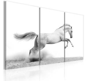 Tavla A galloping horse 90x60 - Artgeist sp. z o. o