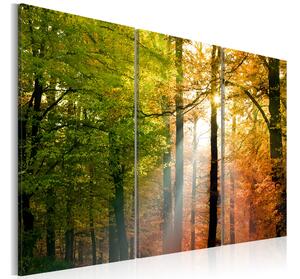 Tavla A Calm Autumn Forest 120x80 - Artgeist sp. z o. o
