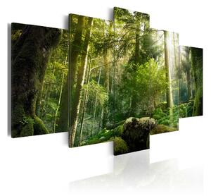 Tavla The Beauty Of The Forest 100x50 - Artgeist sp. z o. o