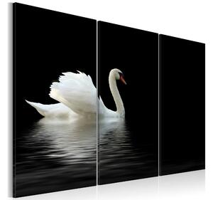 Tavla A lonely white swan 90x60 - Artgeist sp. z o. o
